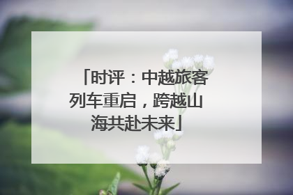 时评：中越旅客列车重启，跨越山海共赴未来