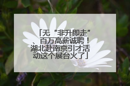 无“非升即走”、百万高薪诚聘！湖北赴南京引才活动这个展台火了