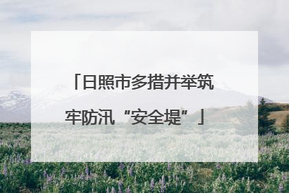日照市多措并举筑牢防汛“安全堤”