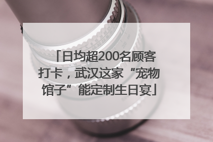 日均超200名顾客打卡，武汉这家“宠物馆子”能定制生日宴