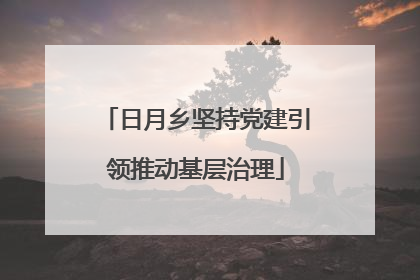 日月乡坚持党建引领推动基层治理