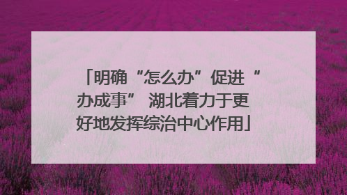 明确“怎么办”促进“办成事” 湖北着力于更好地发挥综治中心作用