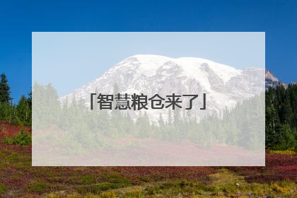 智慧粮仓来了