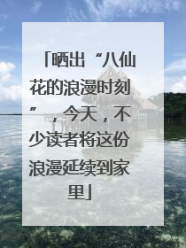 晒出“八仙花的浪漫时刻”，今天，不少读者将这份浪漫延续到家里