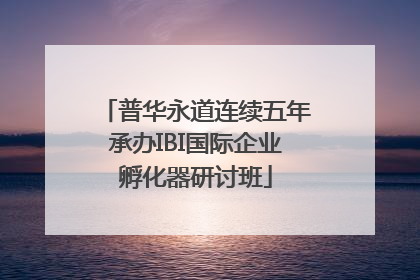 普华永道连续五年承办IBI国际企业孵化器研讨班