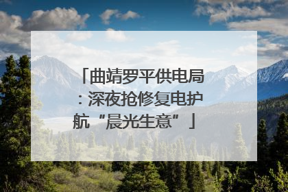 曲靖罗平供电局：深夜抢修复电护航“晨光生意”