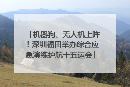机器狗、无人机上阵！深圳福田举办综合应急演练护航十五运会
