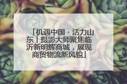 机遇中国・活力山东丨摄影大师聚焦临沂新明辉商城，展现商贸物流新风貌