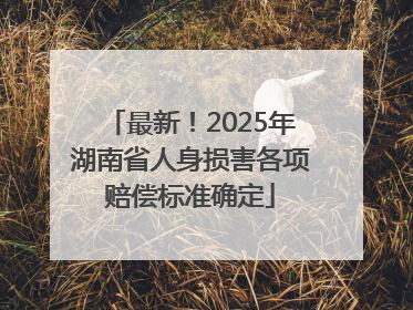 最新！2025年湖南省人身损害各项赔偿标准确定