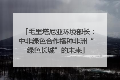 毛里塔尼亚环境部长：中非绿色合作播种非洲“绿色长城”的未来