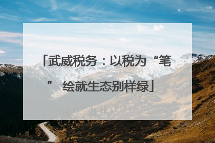 武威税务：以税为“笔” 绘就生态别样绿