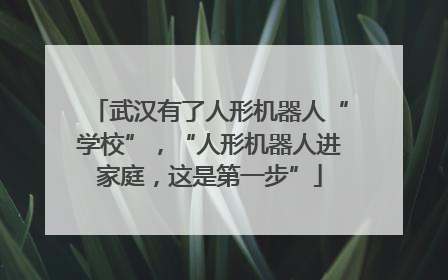 武汉有了人形机器人“学校”，“人形机器人进家庭，这是第一步”