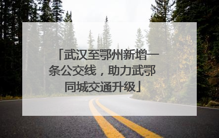 武汉至鄂州新增一条公交线，助力武鄂同城交通升级