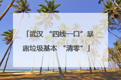武汉 “四线一口”暴露垃圾基本 “清零”
