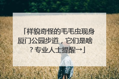 样貌奇怪的毛毛虫现身厦门公园步道，它们是啥？专业人士提醒→