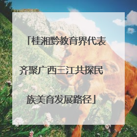 桂湘黔教育界代表齐聚广西三江共探民族美育发展路径