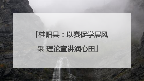 桂阳县：以赛促学展风采 理论宣讲润心田