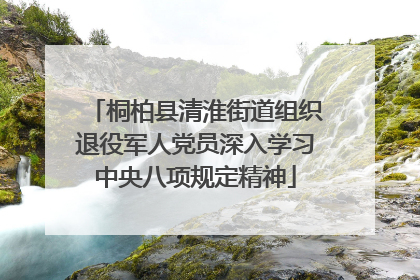 桐柏县清淮街道组织退役军人党员深入学习中央八项规定精神