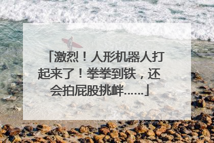 激烈！人形机器人打起来了！拳拳到铁，还会拍屁股挑衅……