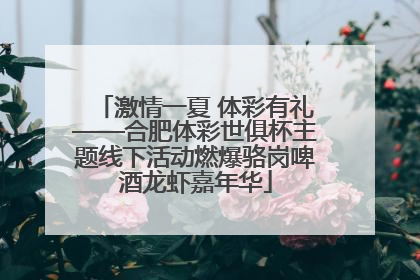 激情一夏 体彩有礼——合肥体彩世俱杯主题线下活动燃爆骆岗啤酒龙虾嘉年华