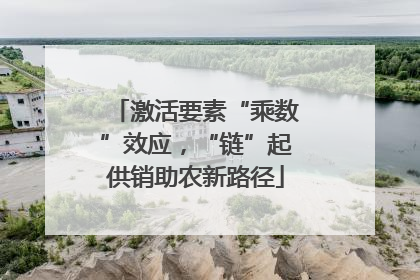 激活要素“乘数”效应，“链”起供销助农新路径
