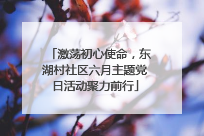 激荡初心使命，东湖村社区六月主题党日活动聚力前行