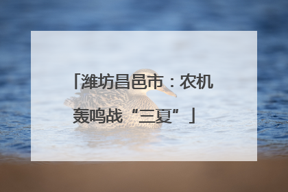 潍坊昌邑市：农机轰鸣战“三夏”