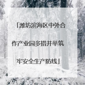 潍坊滨海区中外合作产业园多措并举筑牢安全生产防线