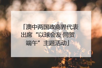 澳中两国政商界代表出席“以球会友·同贺端午”主题活动