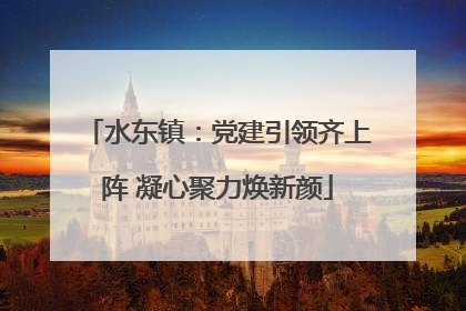 水东镇：党建引领齐上阵 凝心聚力焕新颜