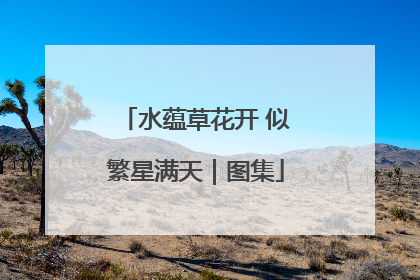 水蕴草花开 似繁星满天｜图集