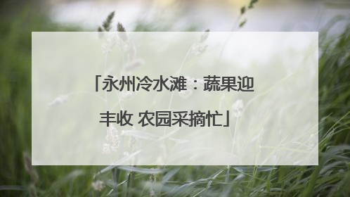 永州冷水滩：蔬果迎丰收 农园采摘忙