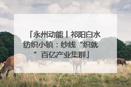 永州动能丨祁阳白水纺织小镇：纱线“织就”百亿产业集群
