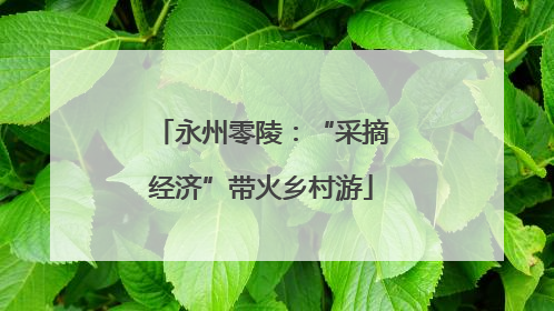 永州零陵：“采摘经济”带火乡村游