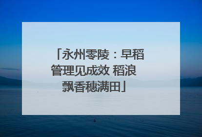 永州零陵：早稻管理见成效 稻浪飘香穗满田