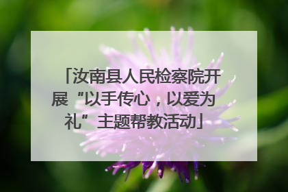 汝南县人民检察院开展“以手传心，以爱为礼”主题帮教活动