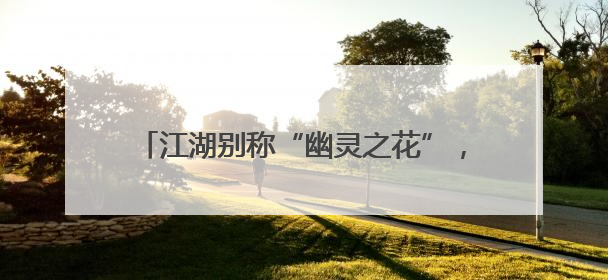 江湖别称“幽灵之花”，现身临沧！——有一种叫云南的生活之365天