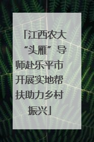 江西农大“头雁”导师赴乐平市开展实地帮扶助力乡村振兴