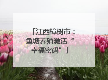 江西樟树市：鱼塘养殖激活“幸福密码”