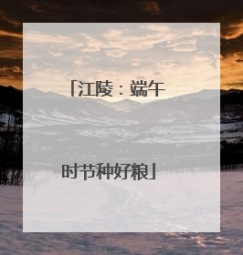 江陵：端午时节种好粮