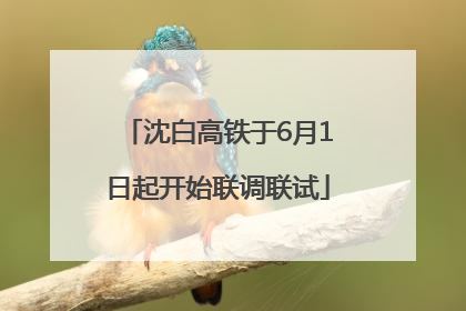沈白高铁于6月1日起开始联调联试