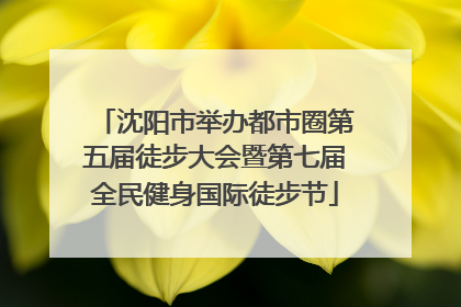 沈阳市举办都市圈第五届徒步大会暨第七届全民健身国际徒步节