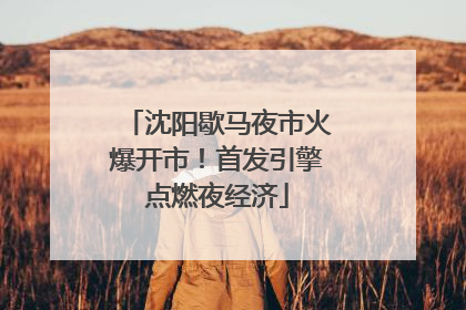 沈阳歇马夜市火爆开市！首发引擎点燃夜经济