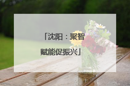 沈阳：聚智赋能促振兴