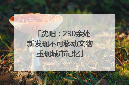 沈阳：230余处新发现不可移动文物重现城市记忆