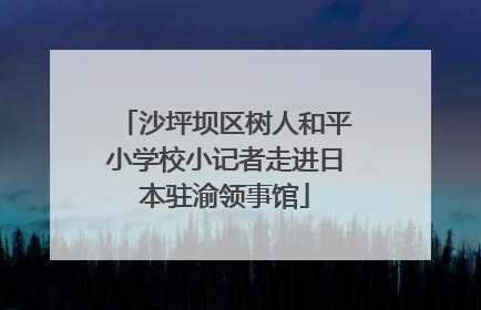 沙坪坝区树人和平小学校小记者走进日本驻渝领事馆