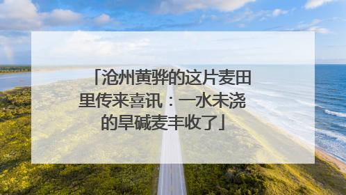沧州黄骅的这片麦田里传来喜讯：一水未浇的旱碱麦丰收了