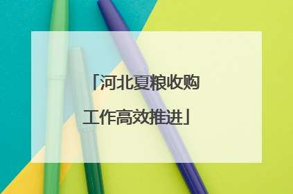 河北夏粮收购工作高效推进