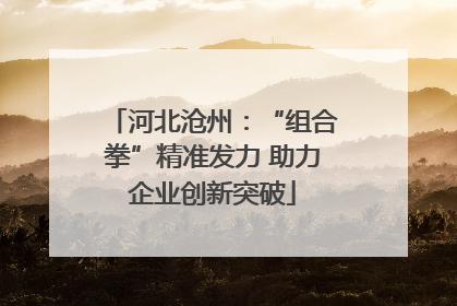 河北沧州：“组合拳”精准发力 助力企业创新突破
