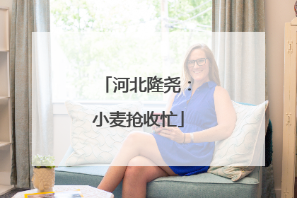 河北隆尧：小麦抢收忙